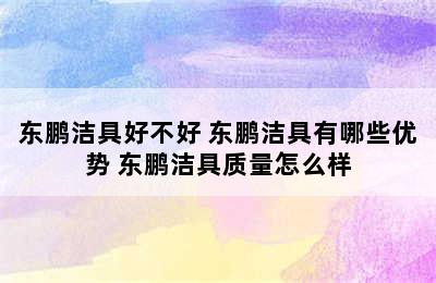 东鹏洁具好不好 东鹏洁具有哪些优势 东鹏洁具质量怎么样